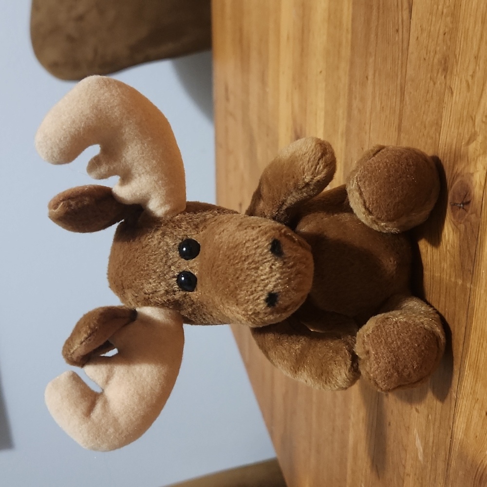 Moose 🫎 Beanbag 7" Soft & Plush Likw New!